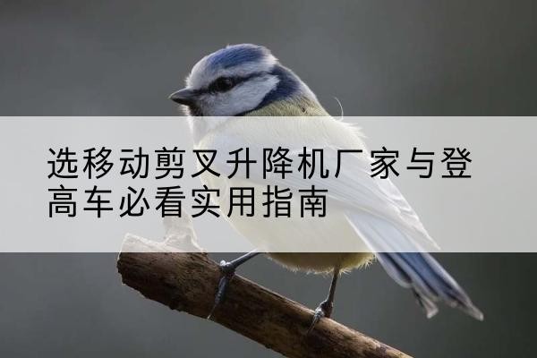 杭锦后旗电动升降机厂家-选移动剪叉升降机厂家与登高车必看实用指南