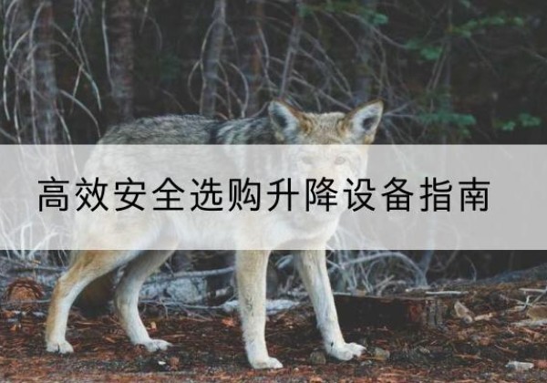 杭锦后旗升降货梯厂家推荐-*安全选购升降设备指南